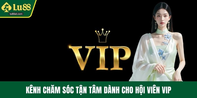 Kênh chăm sóc tận tâm dành cho hội viên VIP