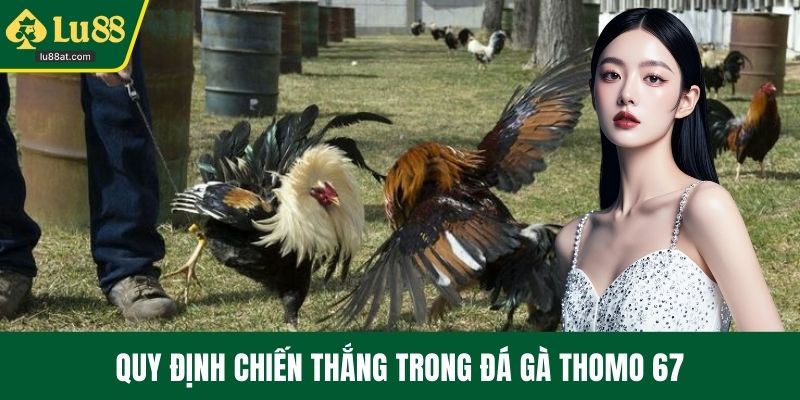 Quy định chiến thắng trong đá gà Thomo 67